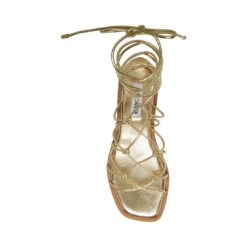 AINSLEY GOLD 8 AINSLEY GOLD -Cheap Boots And Beyond Store STEVEMADDEN SHOES AINSLEY GOLD TOP